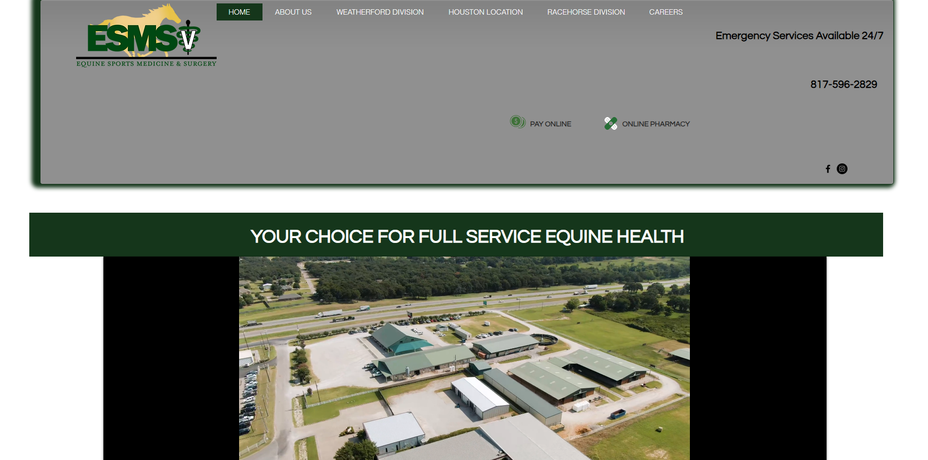 Equine Sports Medicine & Surgery