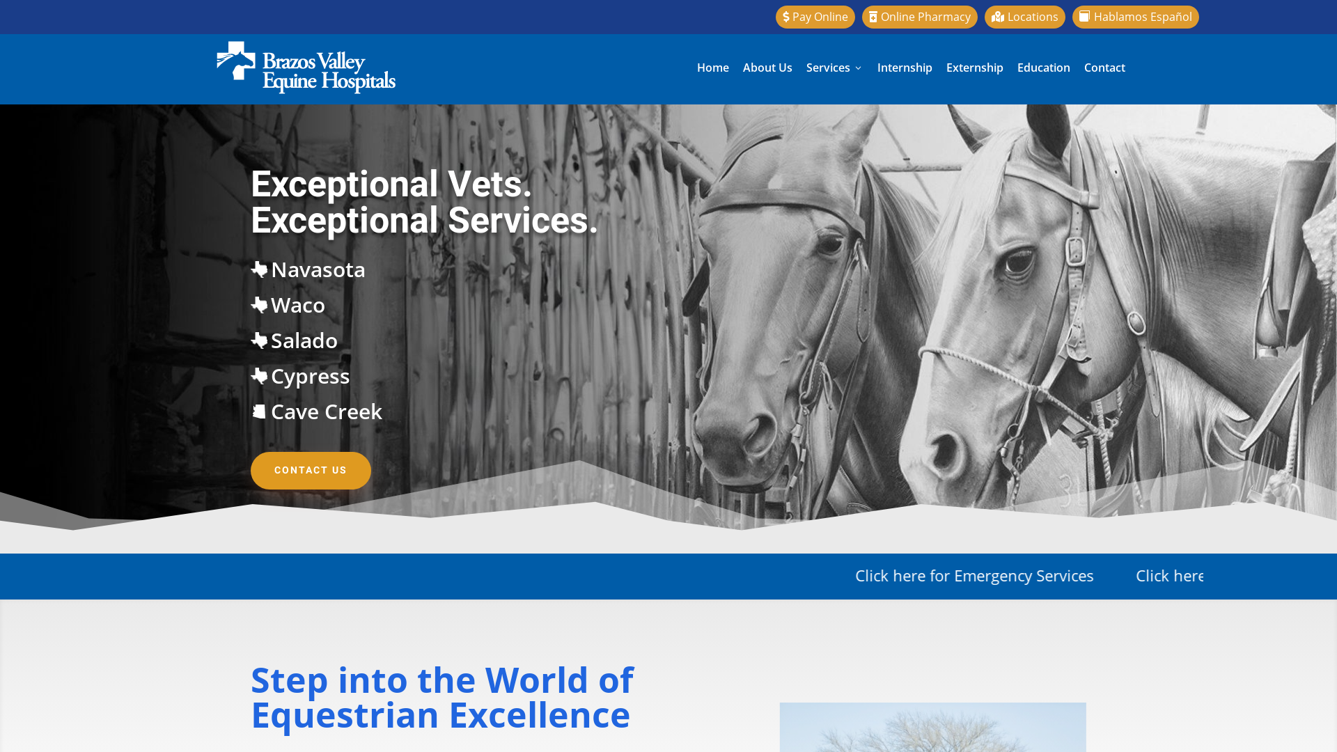 Brazos Valley Equine Hospitals